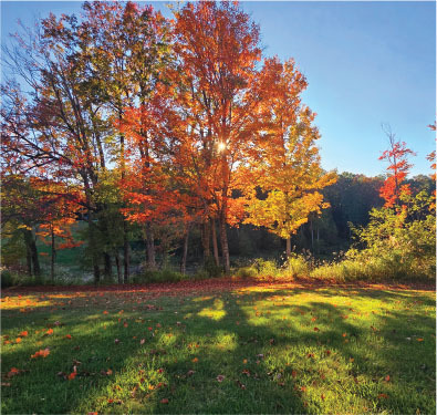 explore fall fun in greater summersvill