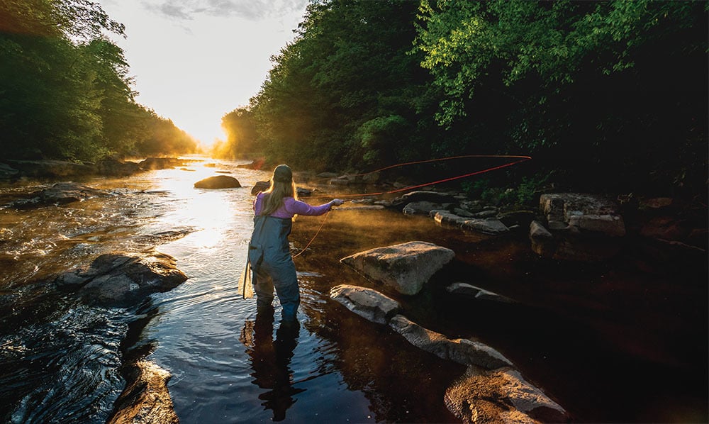 the magic of tucker county