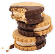 smores sandwich cookie begonia cookie co