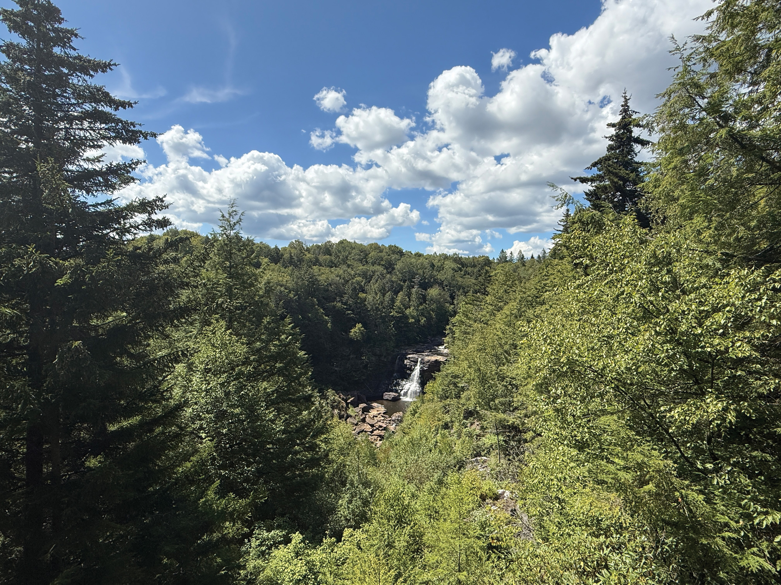 blackwater falls