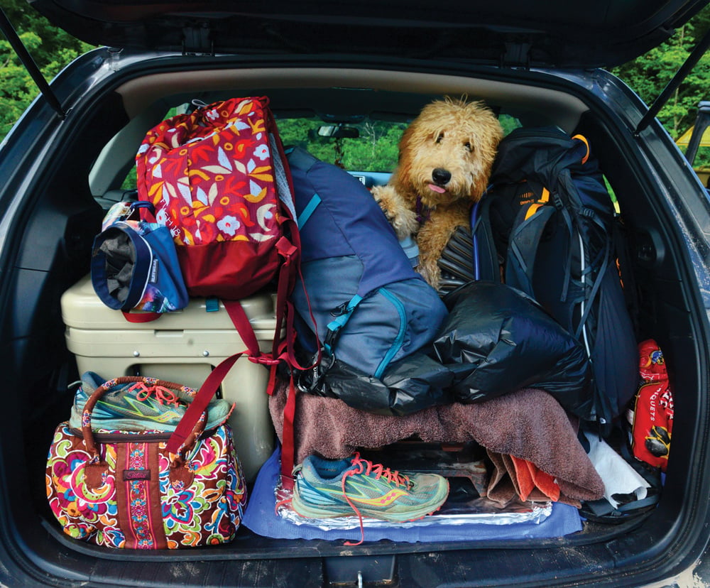 pack a doggy bag