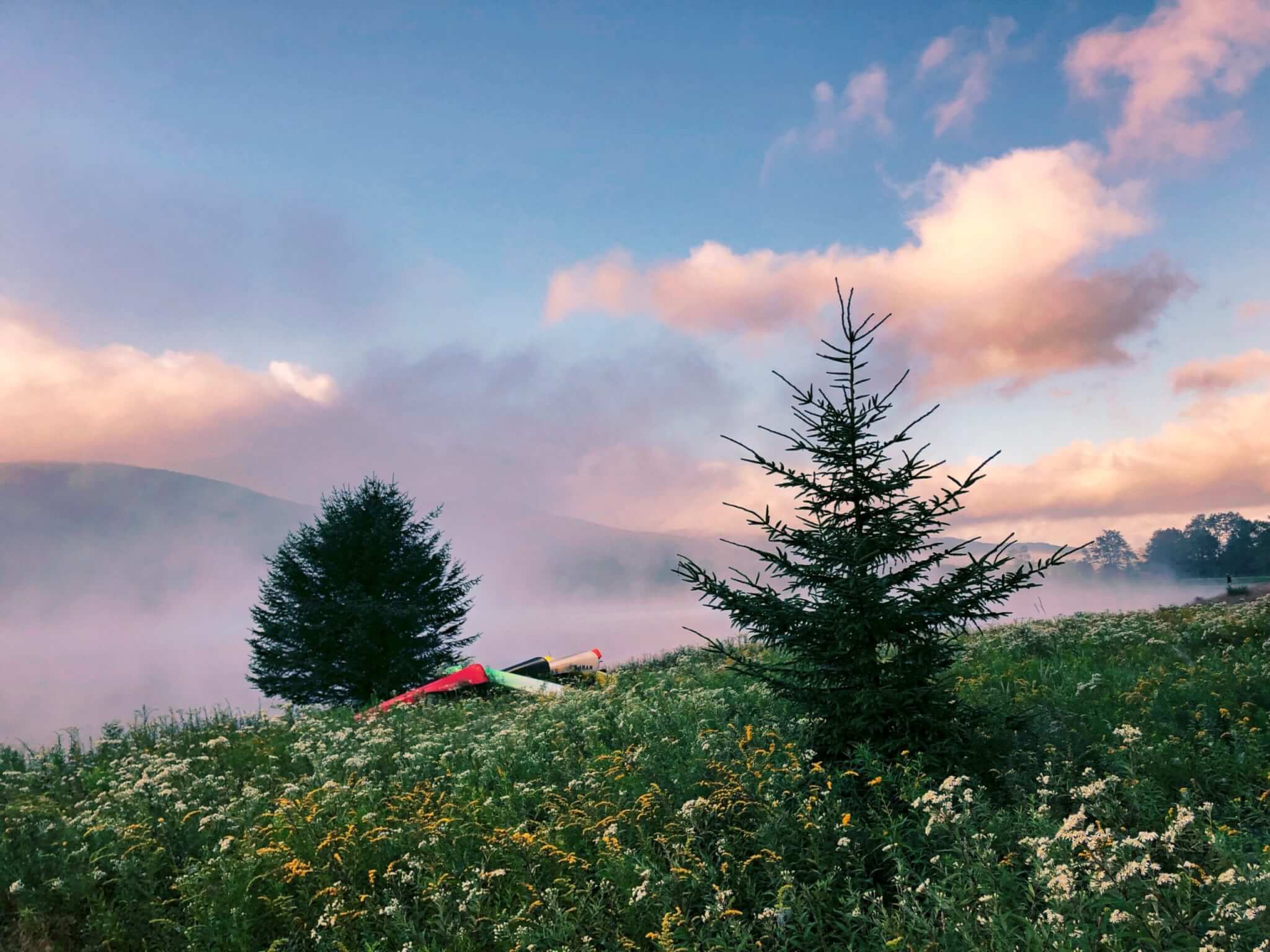 Help an Earth-loving Business Out on Earth Day